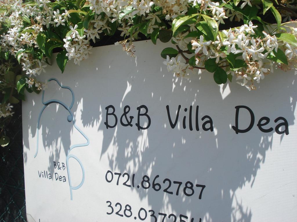 Villa Dea Fano Εξωτερικό φωτογραφία